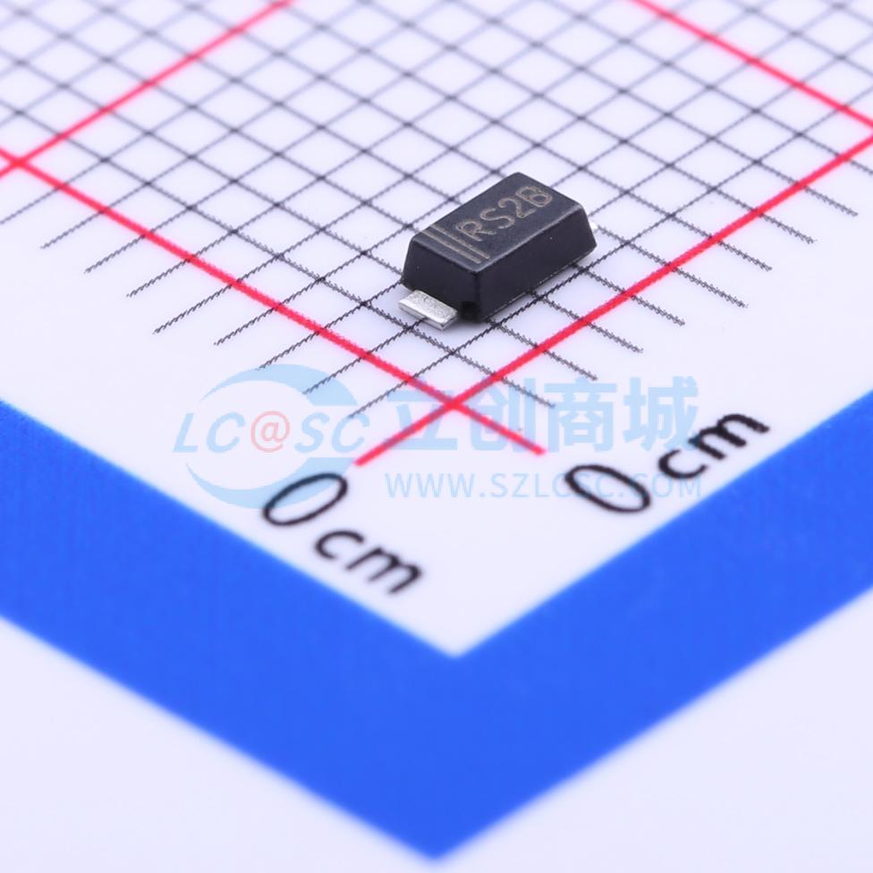 点击查看大图 RS2BW实物图