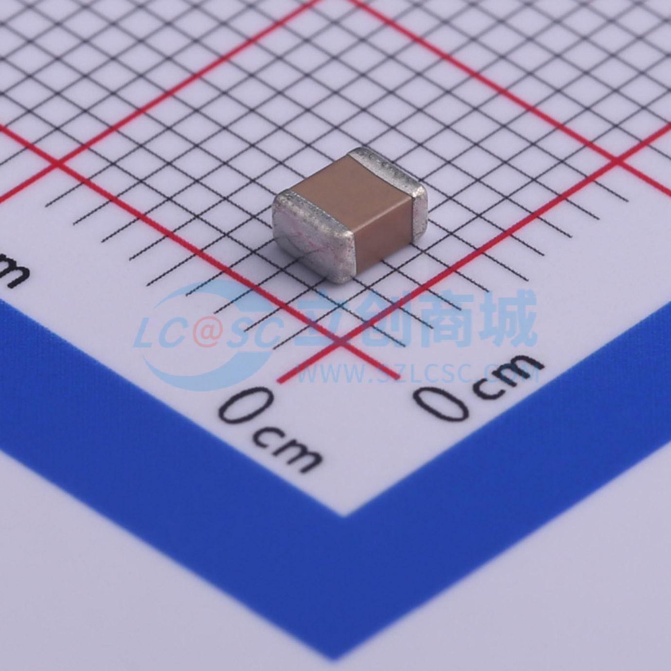 点击查看大图 1210B393K631CT实物图