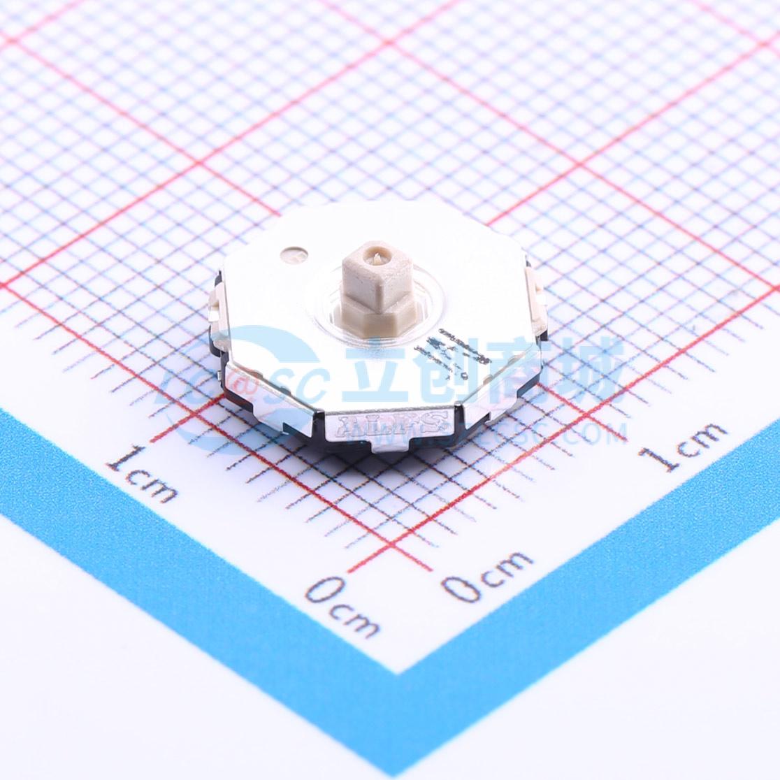 RKJXS1004001实物图