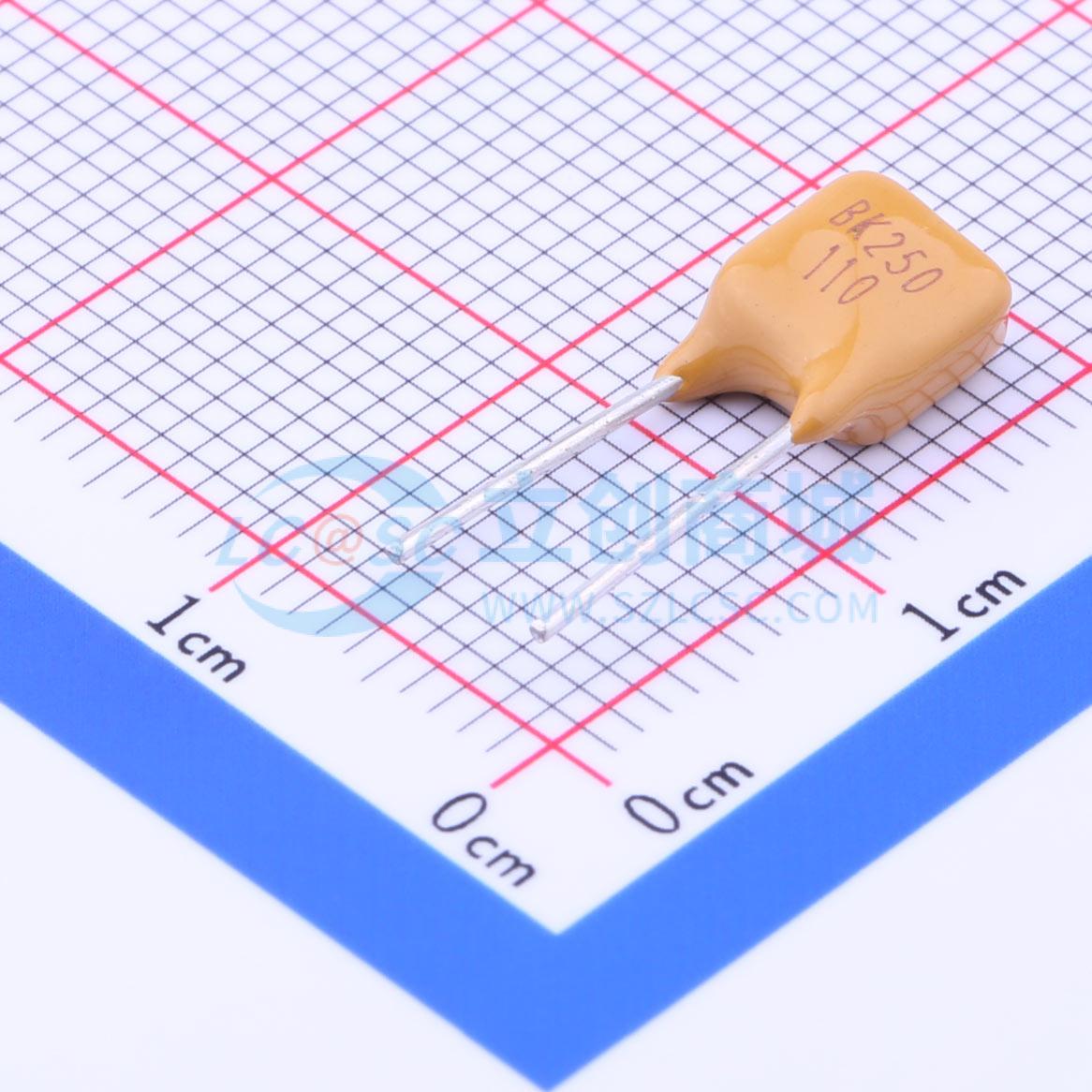 点击查看大图 BK250-110-SZ实物图