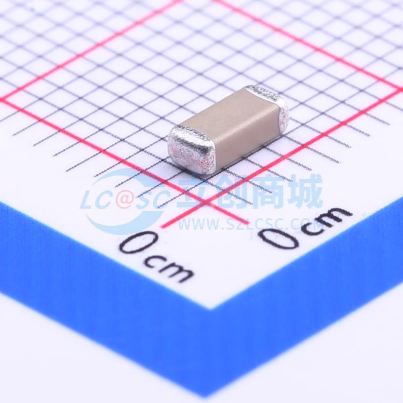 点击查看大图 GR442QR73D221KW01L实物图