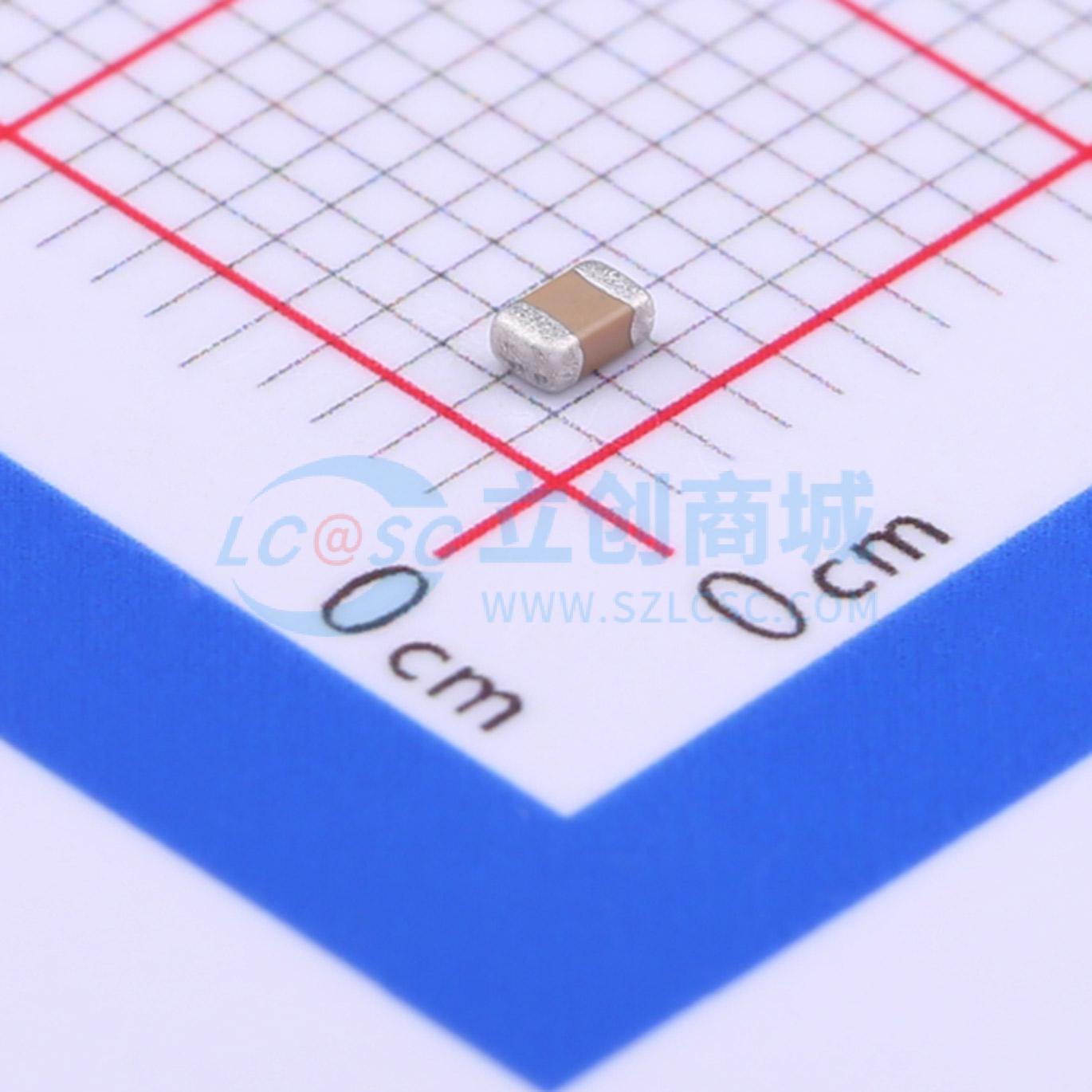 FV21X102K102PXG实物图