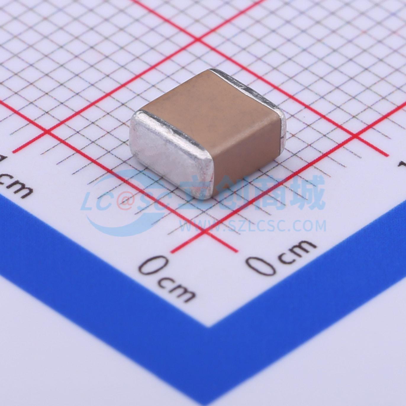 FS55X106K500EHG实物图