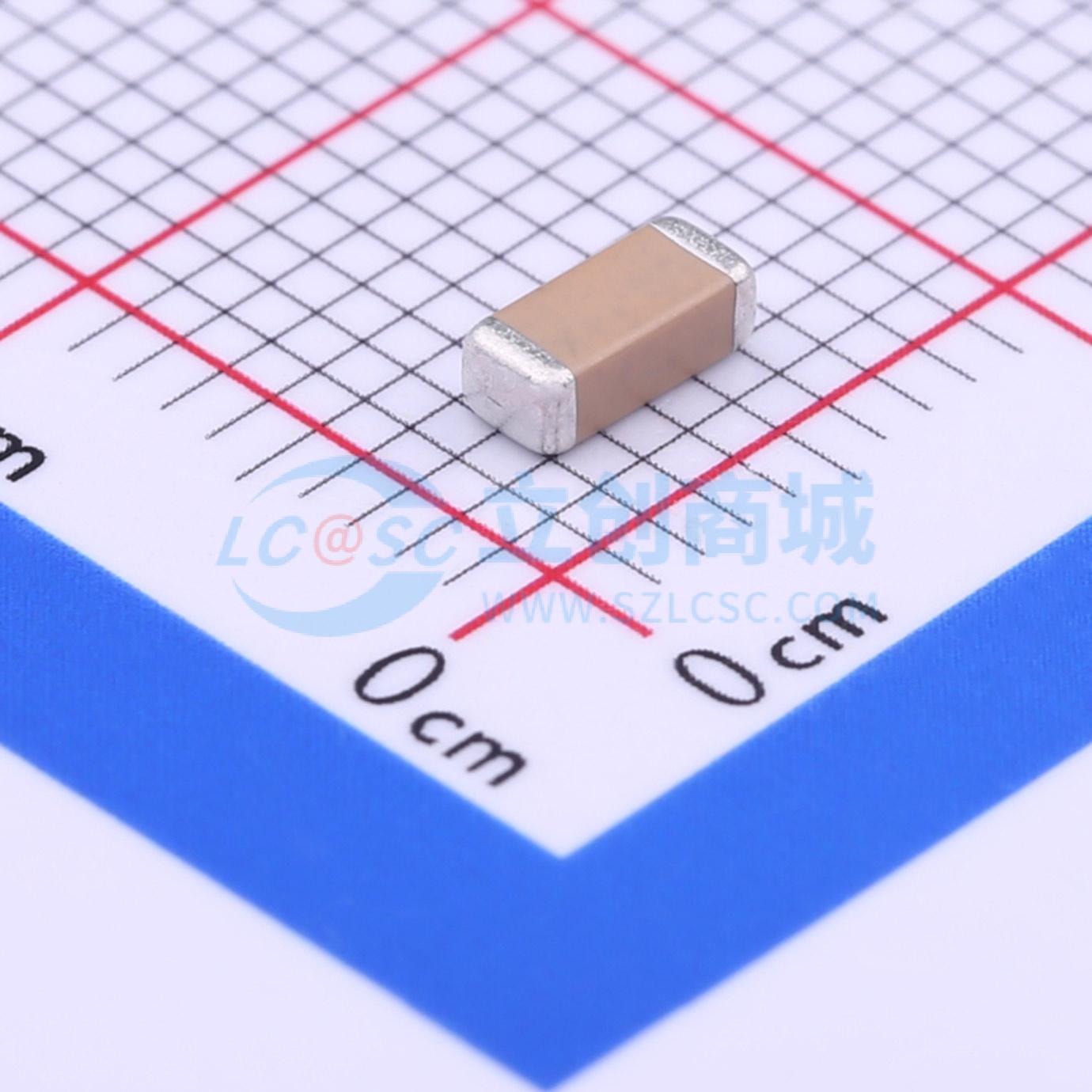 FV42X102K202EEG实物图