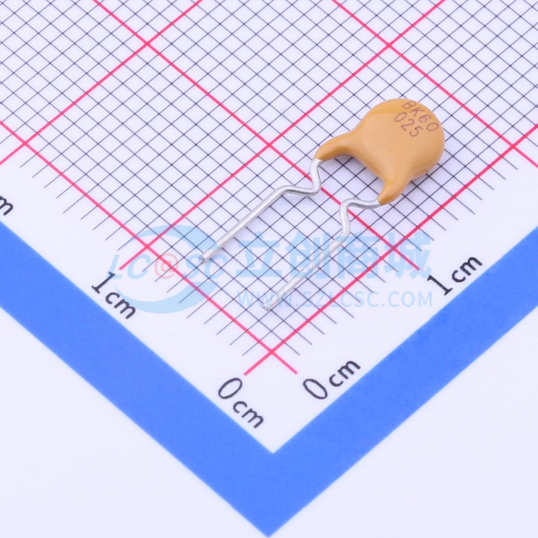 点击查看大图 BK60-025-DI实物图