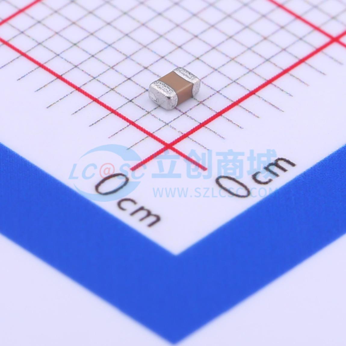 点击查看大图 FM21X272K101PXG实物图