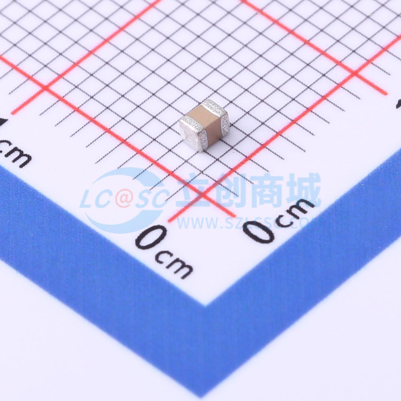 点击查看大图 FS21B335K100EIG实物图