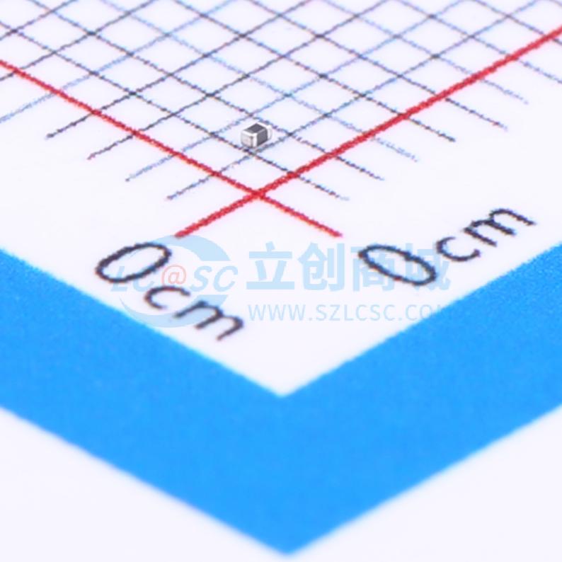 点击查看大图 BLM03AG100SN1D实物图