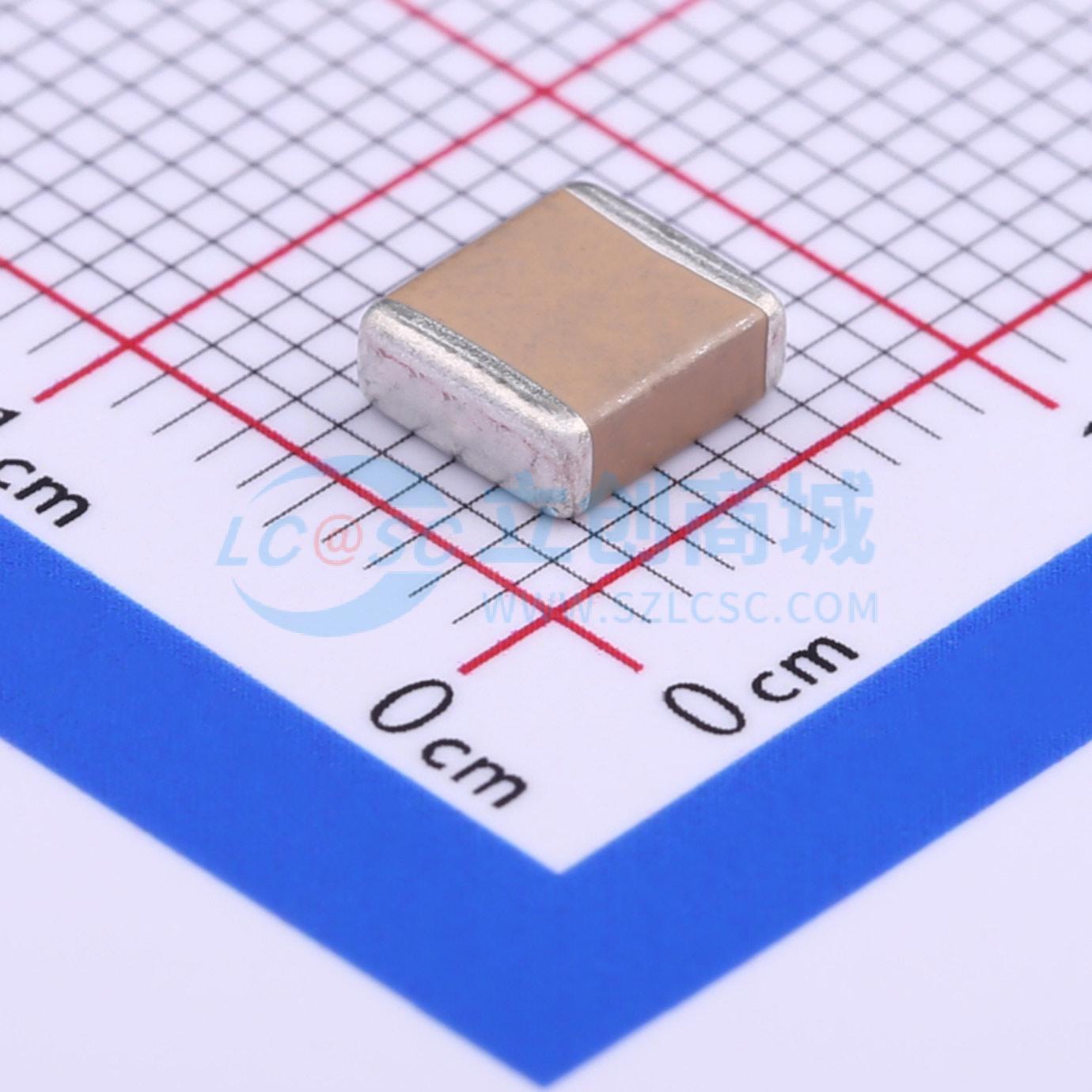 点击查看大图 FS55X105K251EFG实物图