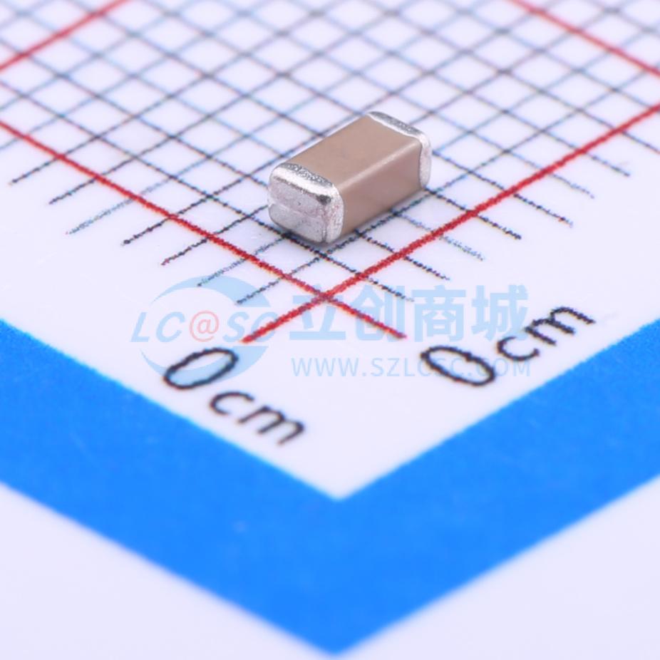 202R18W102MV4E实物图