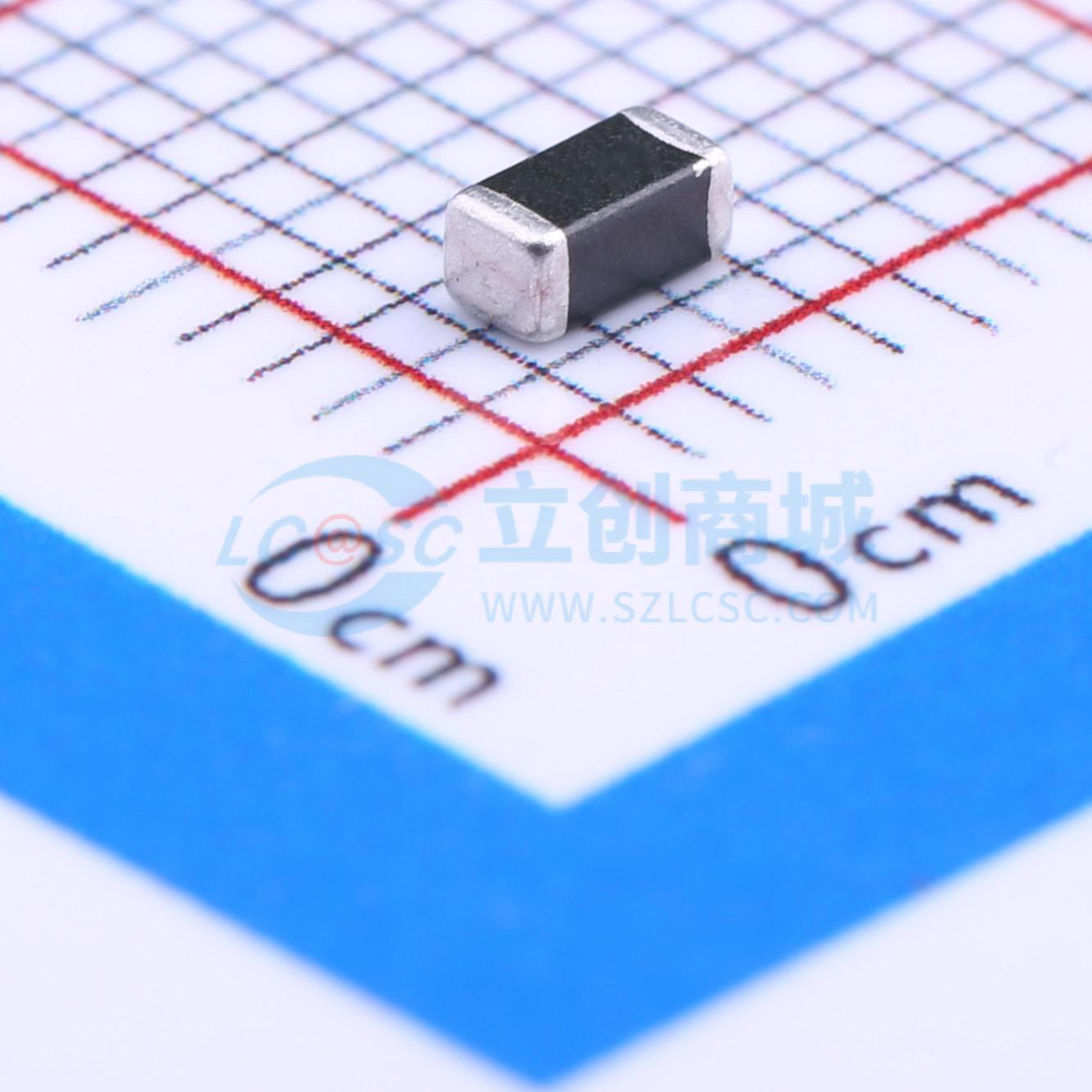 B72520T0300K062实物图