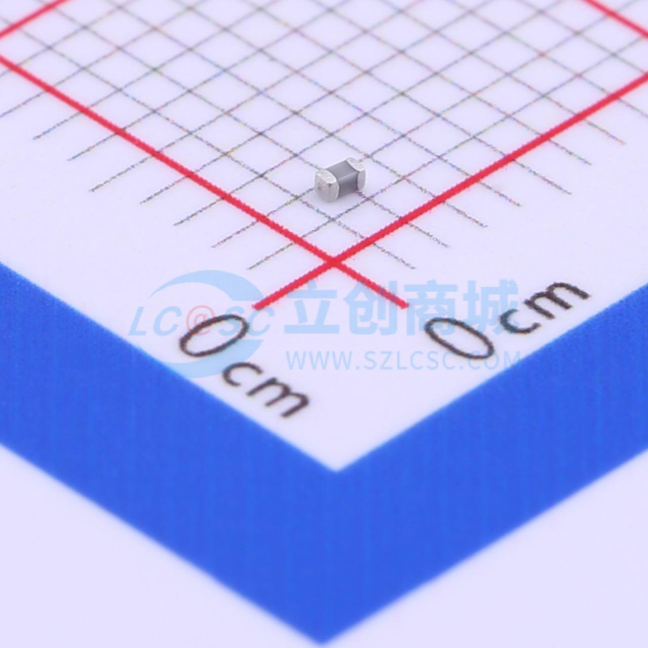 C1005NP0609DGTS实物图