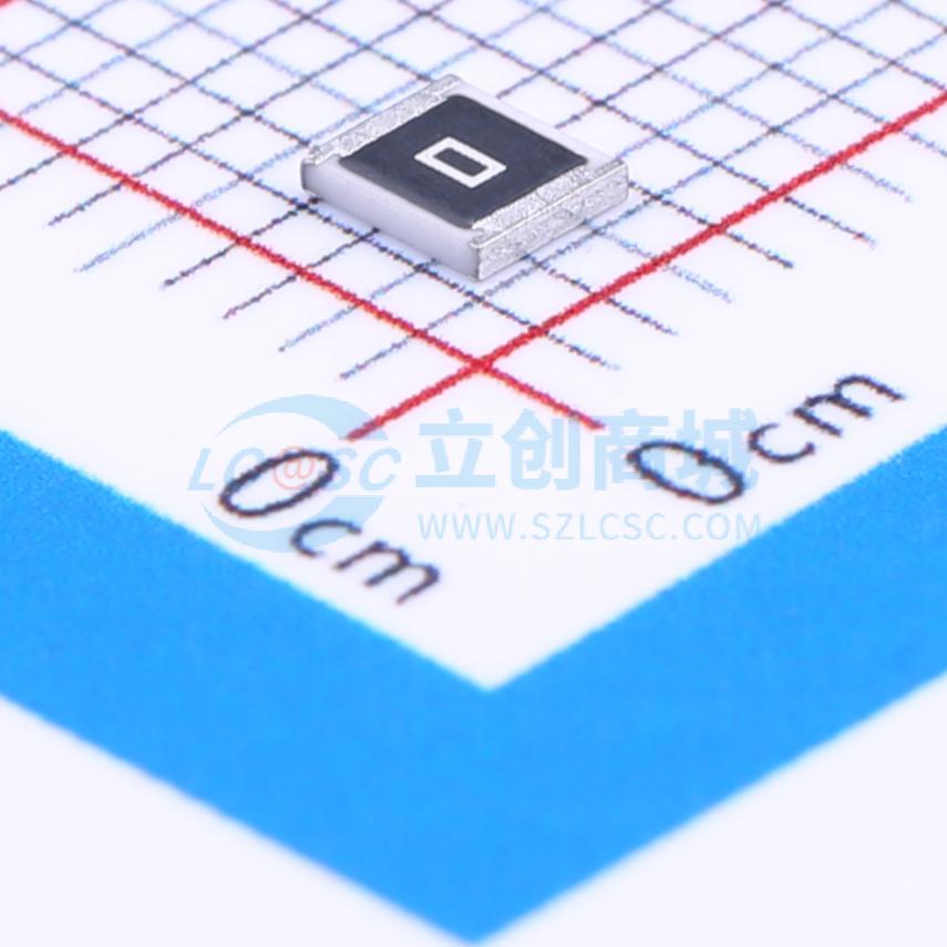 RS-1210000JT实物图