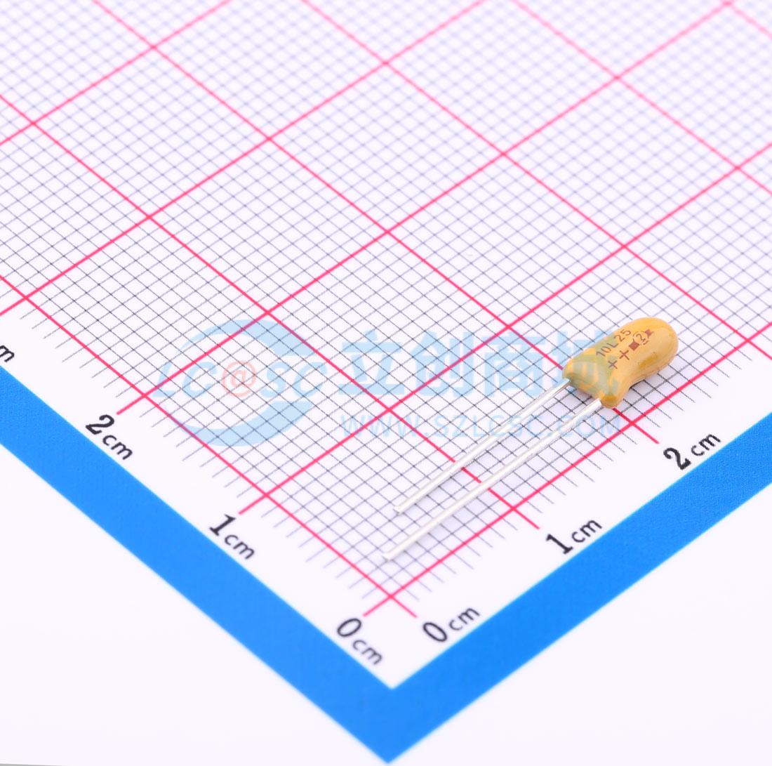 199D106X9025C1V1E3实物图