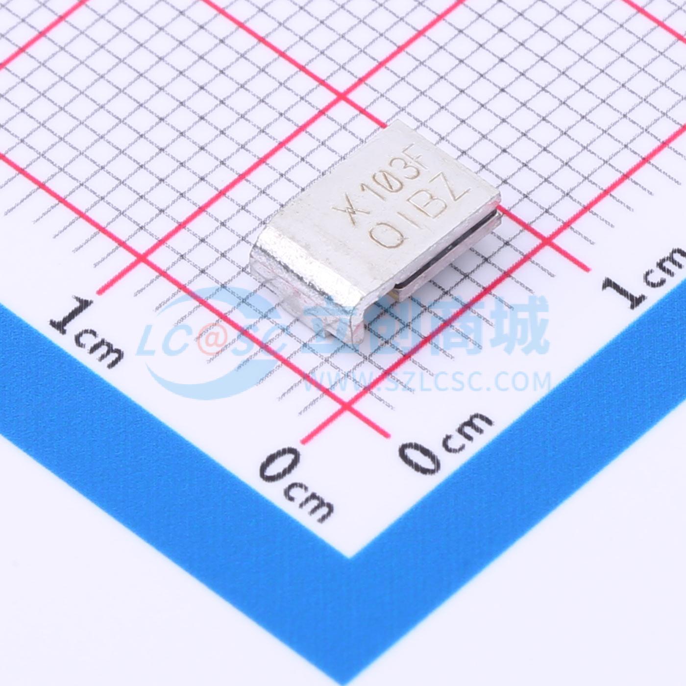 点击查看大图 SMD100F/33-2实物图