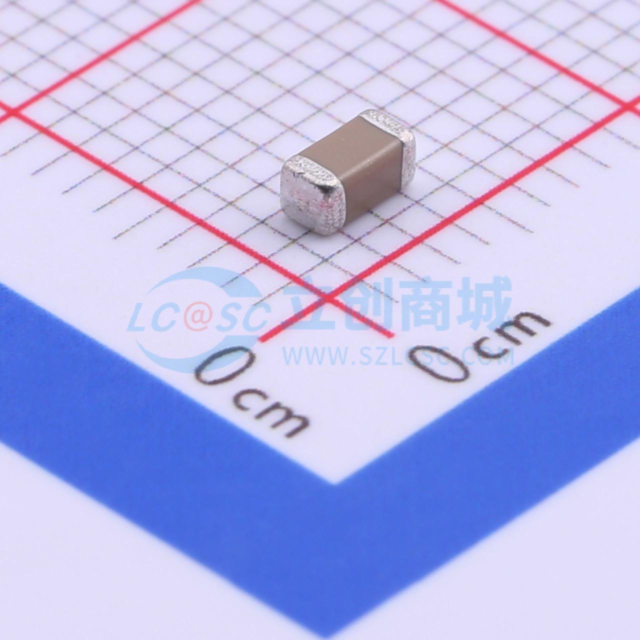 点击查看大图 FS31B106K160EPG实物图