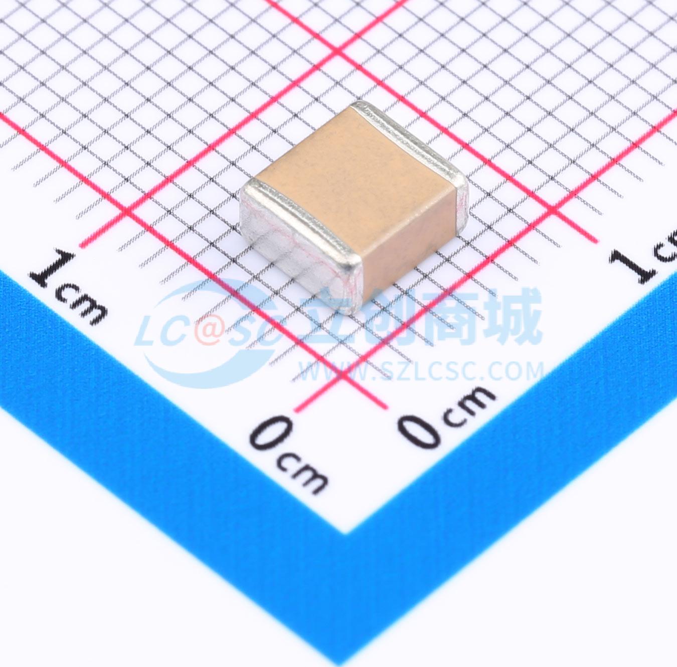 FV55X393K202EHG实物图