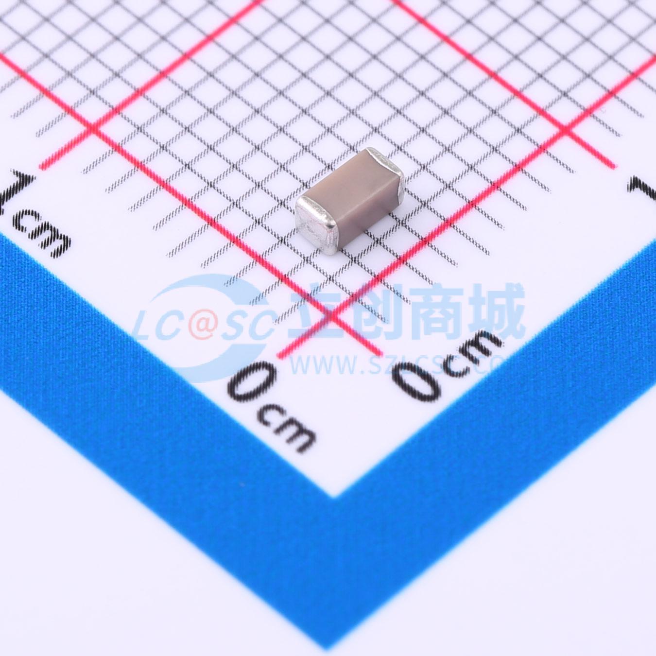 202R18N101JV4E实物图