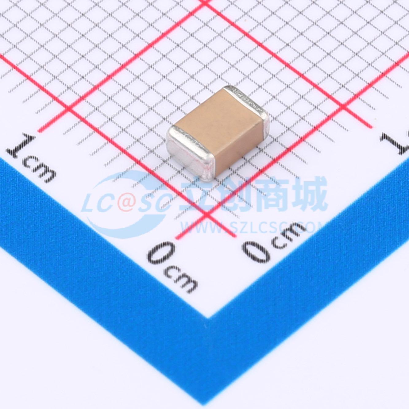 点击查看大图 FV43X331K302EFG实物图