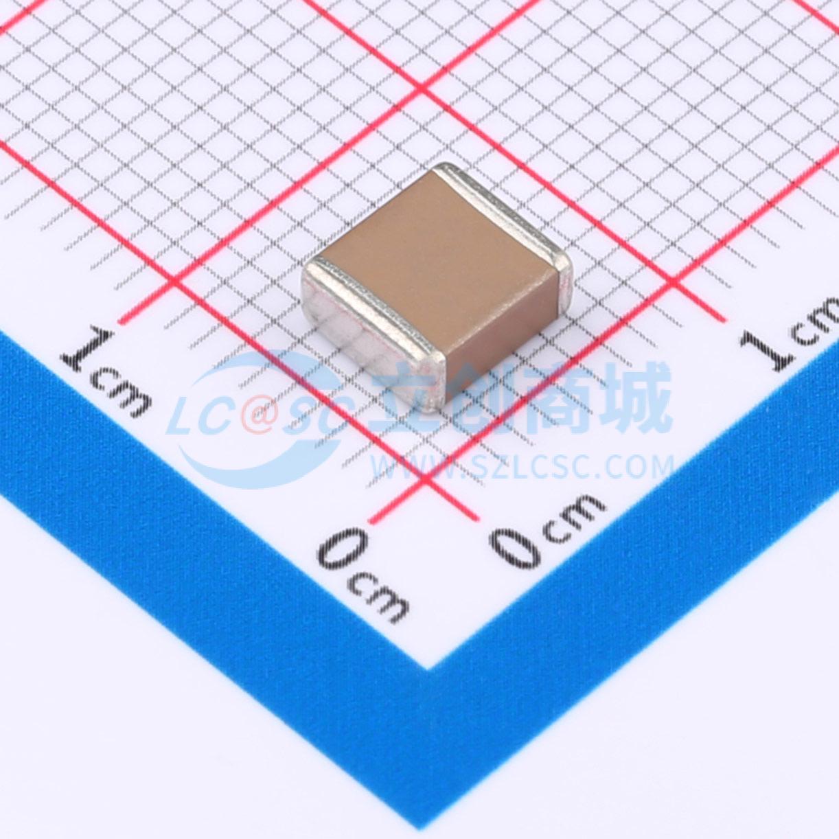 点击查看大图 FS55X156K101EGG实物图