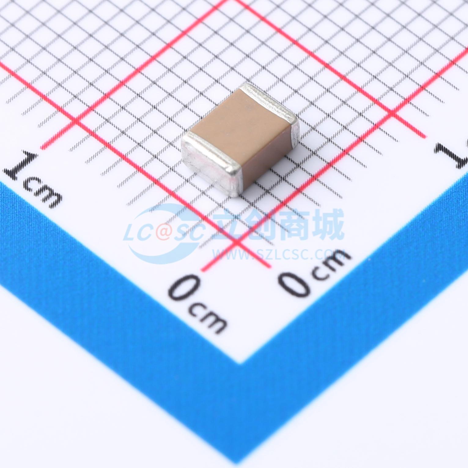 点击查看大图 FS43X106K500EFG实物图