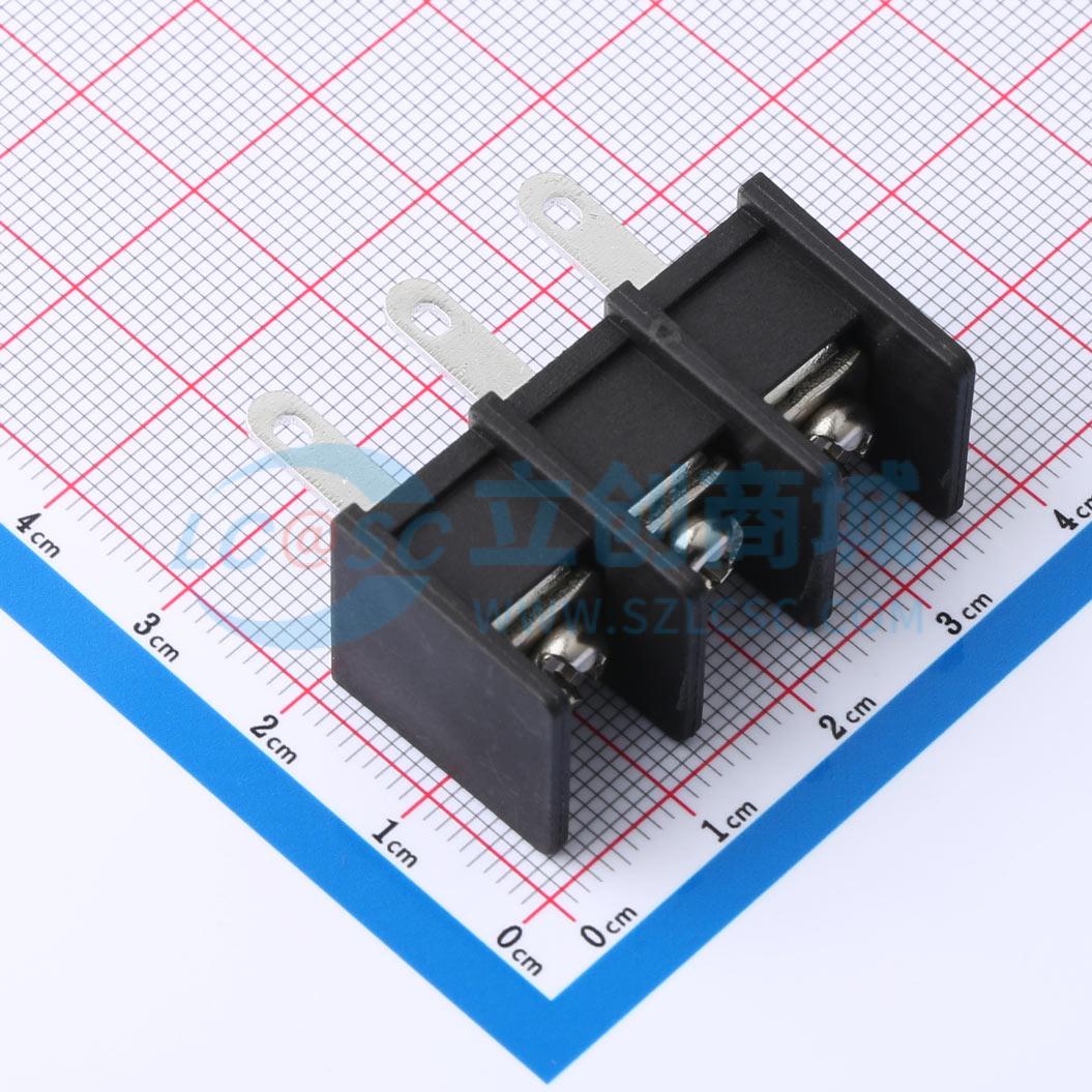 点击查看大图 DBT30H-11.0-3P-BK-P实物图