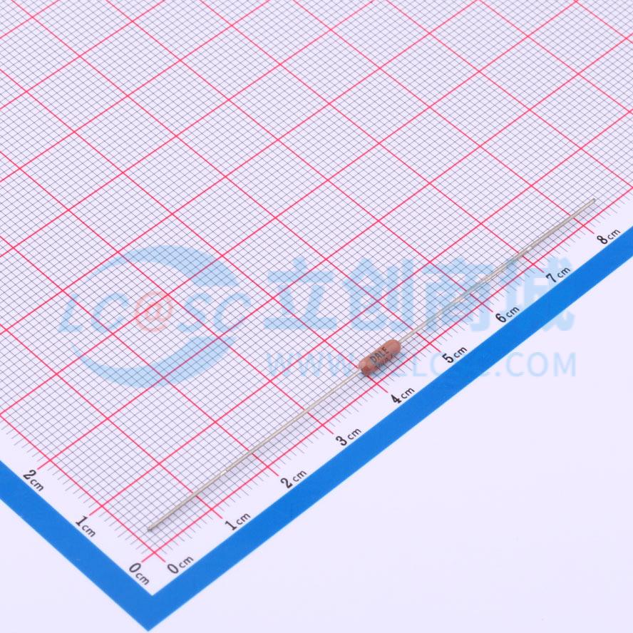 RN55C1002FB14实物图