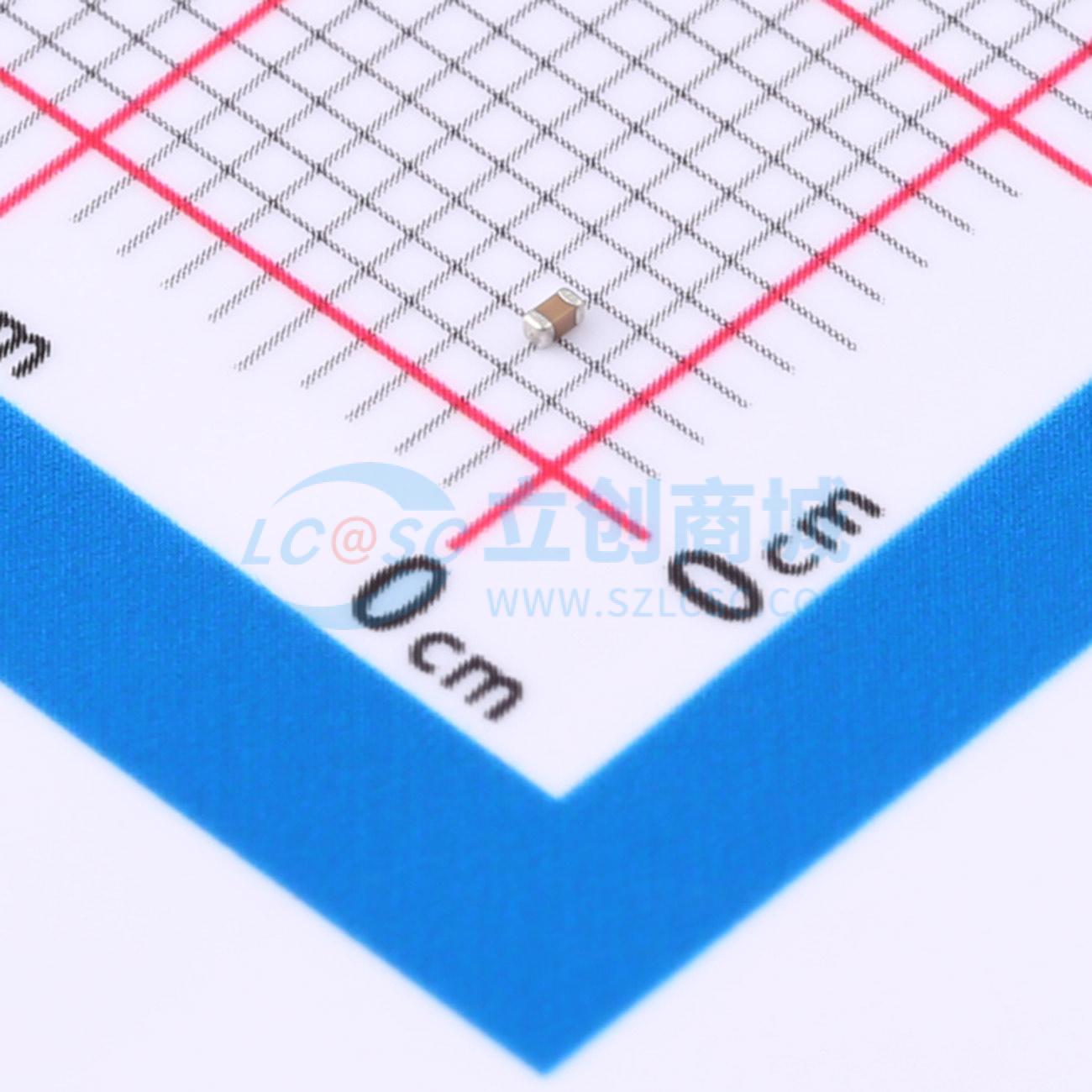 250R07W102KV4T实物图