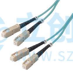 FODSC-10G-01实物图