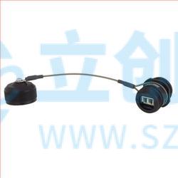 RLRP121LC01A实物图