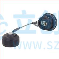 RLRK121LC01A实物图