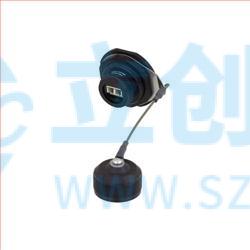 RLRJ121LC01A实物图