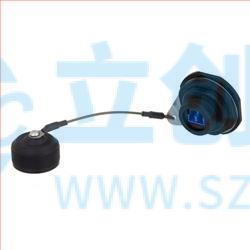 RLRJ121LC02B实物图