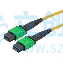 MPMM24SMBZ-10实物图