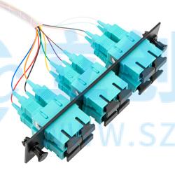 FSP12-SCM2-BL-3实物图