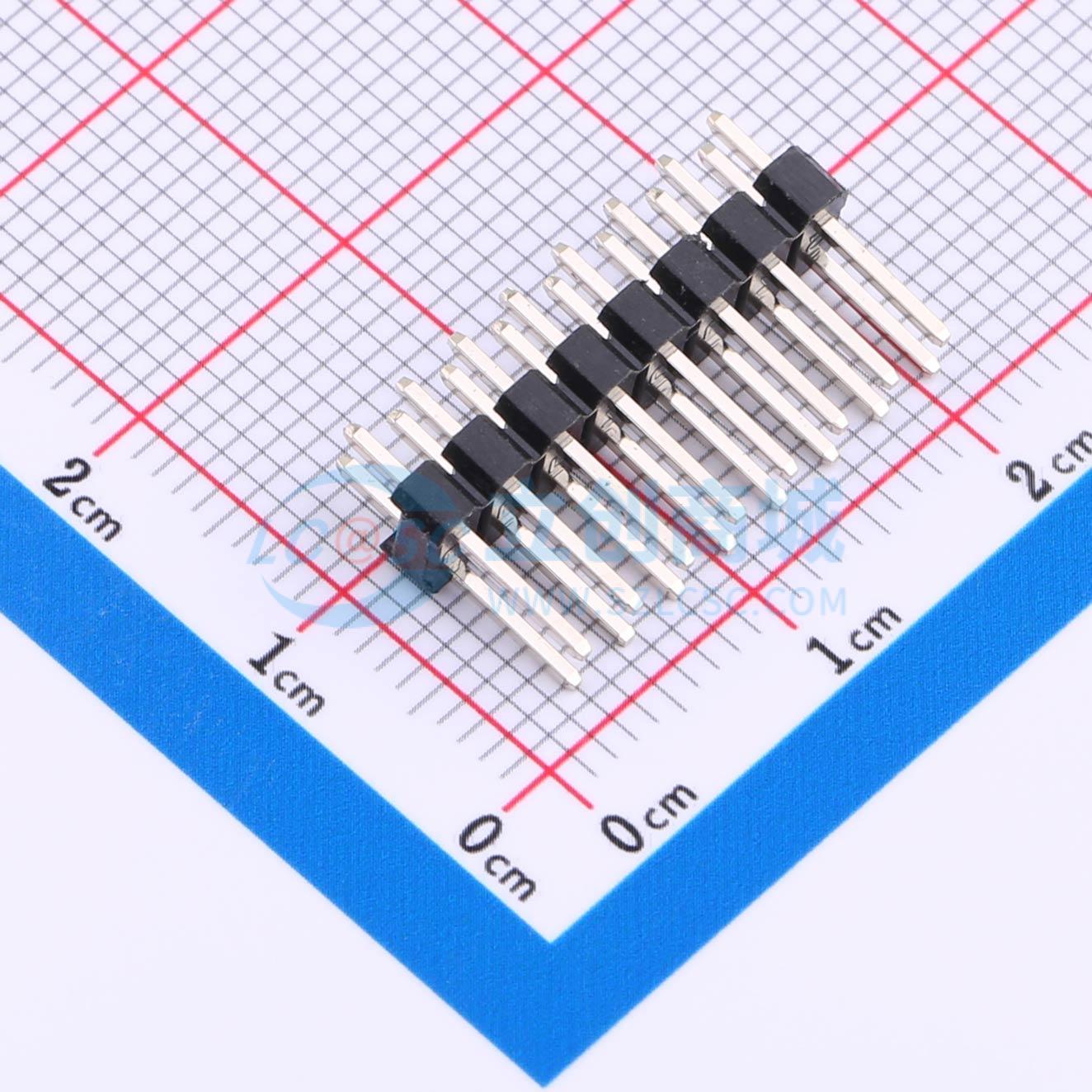 DS1021-2x8SF11-B实物图