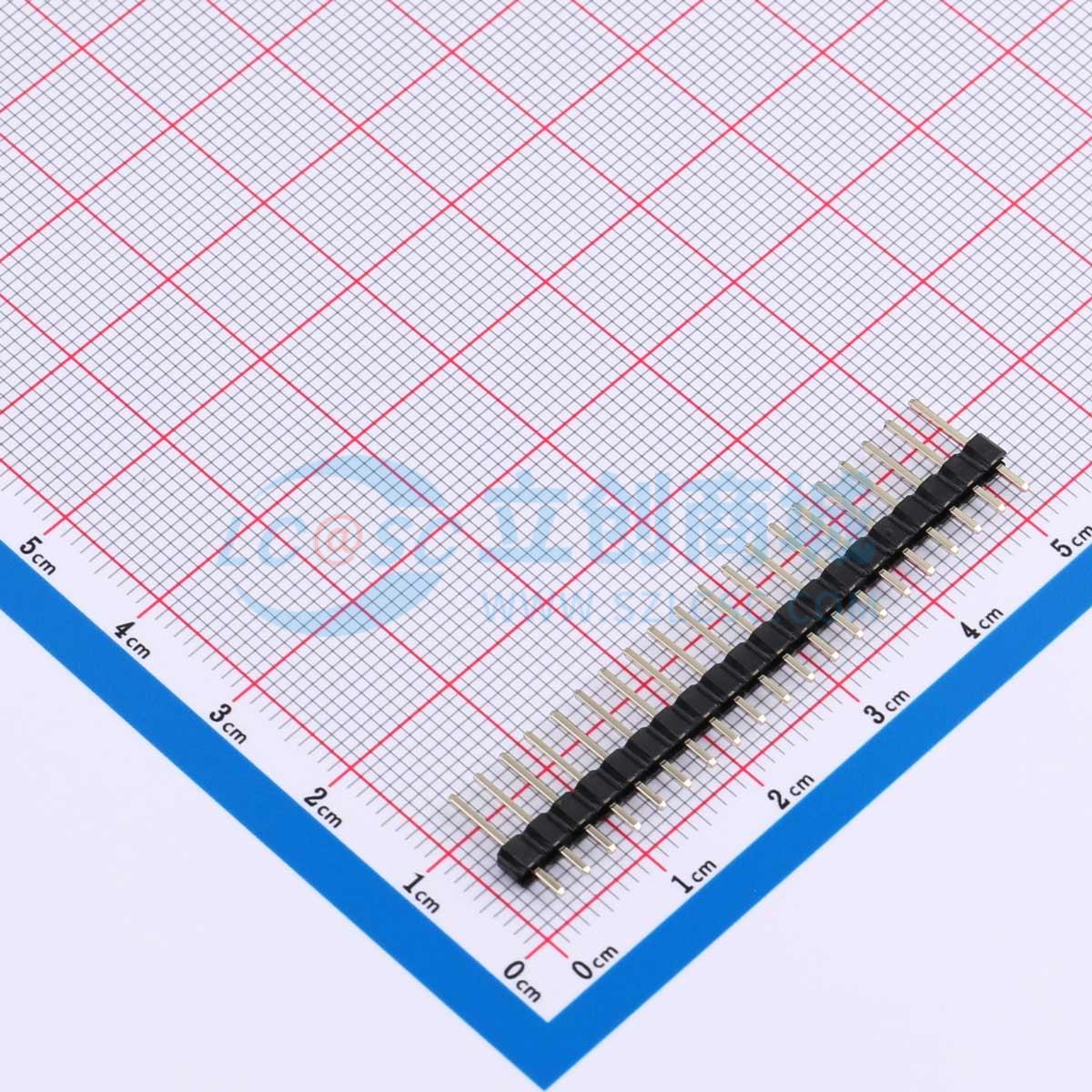 点击查看大图 DS1021-1x20SF11-B实物图