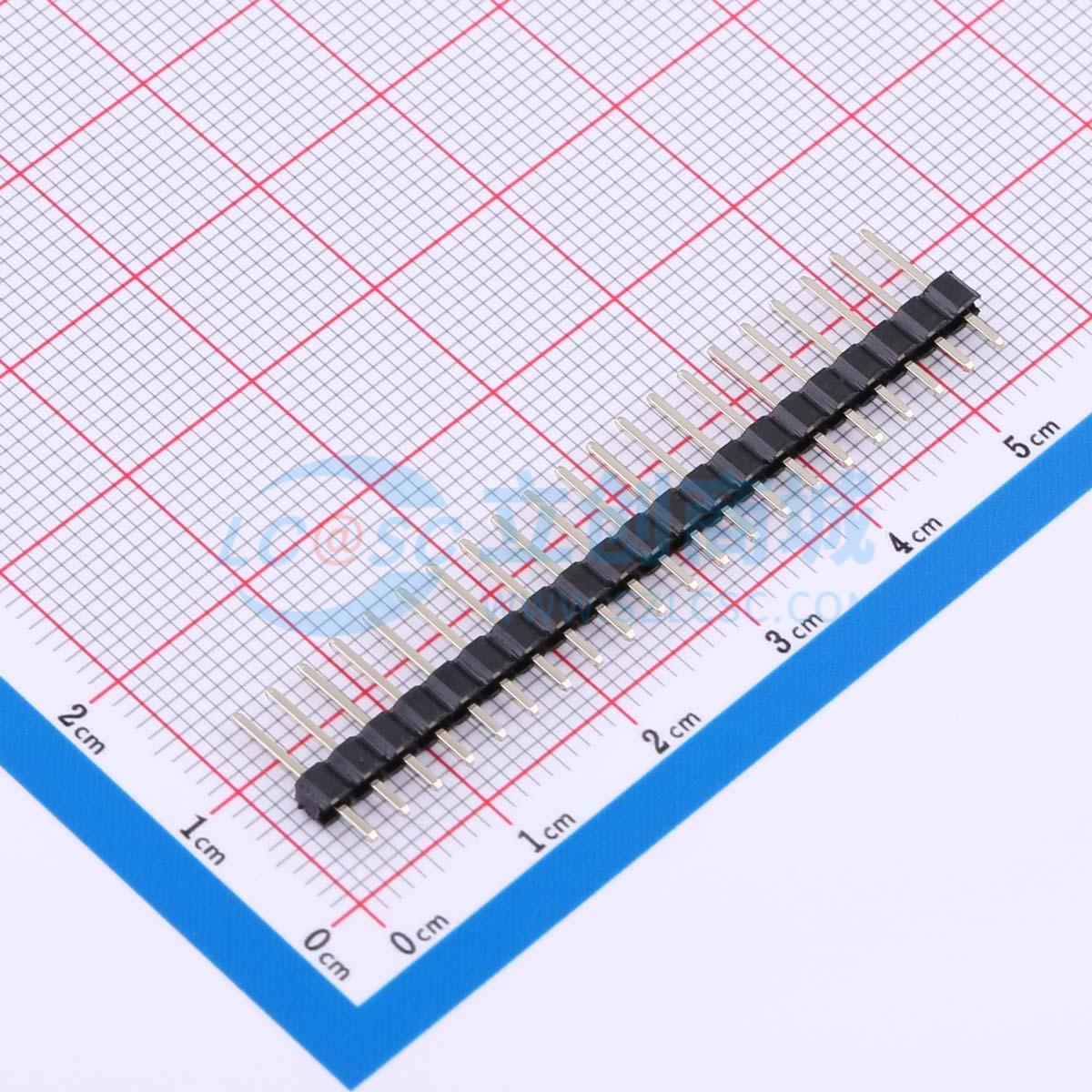 点击查看大图 DS1021-1x21SF11-B实物图