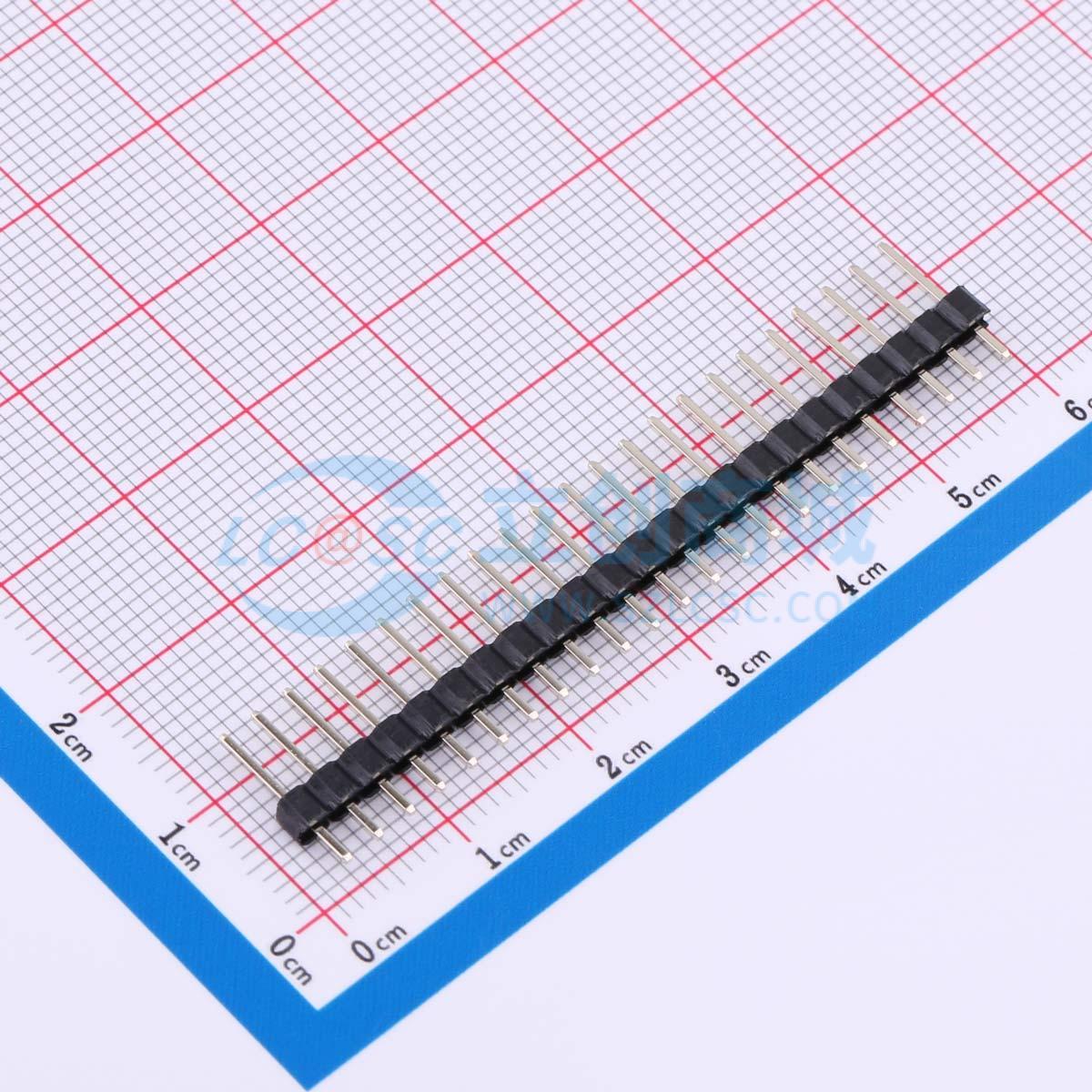 点击查看大图 DS1021-1x23SF11-B实物图