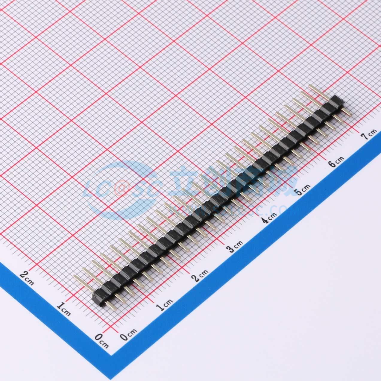 点击查看大图 DS1021-1x28SF11-B实物图