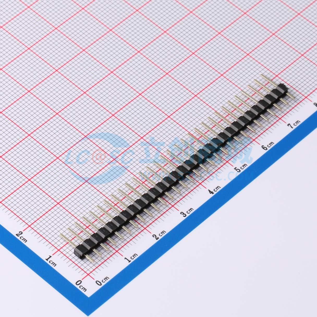 DS1021-1x30SF11-B实物图