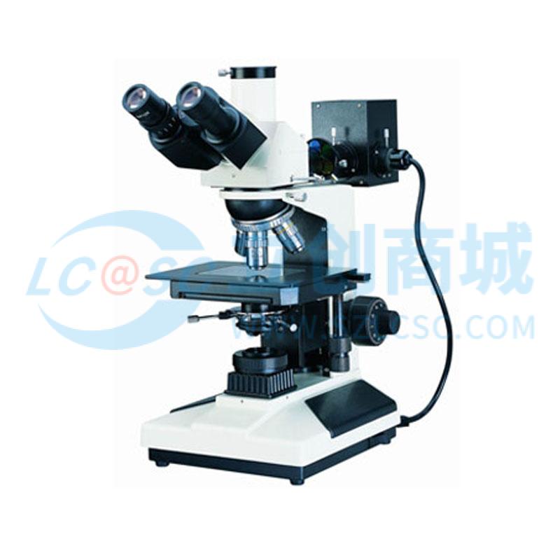 TP3-401-146实物图