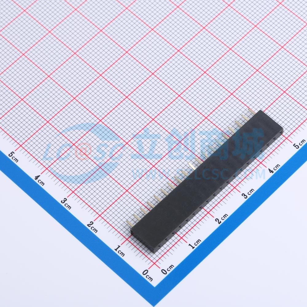 点击查看大图 DS1023-1x19SF11实物图