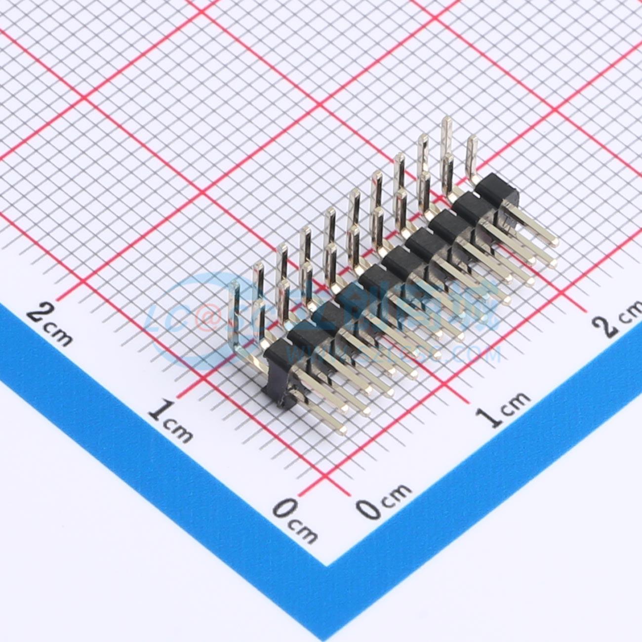 点击查看大图 DS1025-06-2x10P8BR1-B实物图