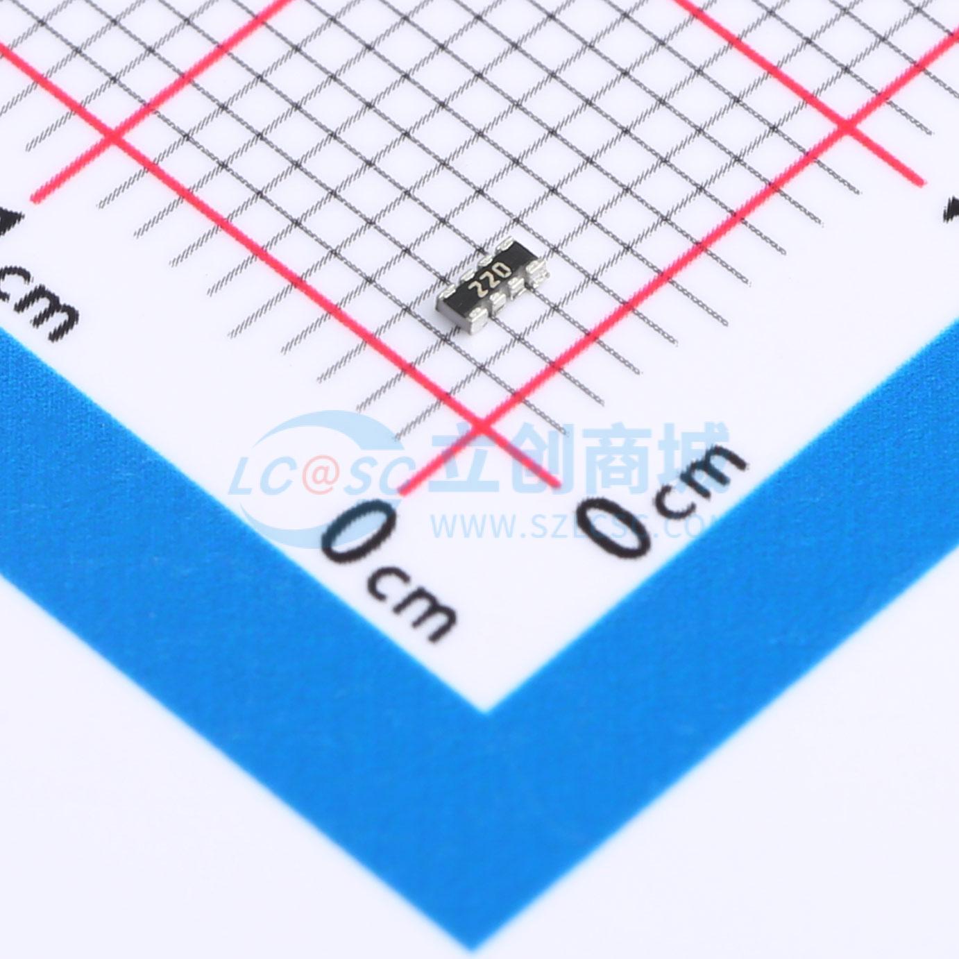 点击查看大图 CAY10-220J4LF实物图