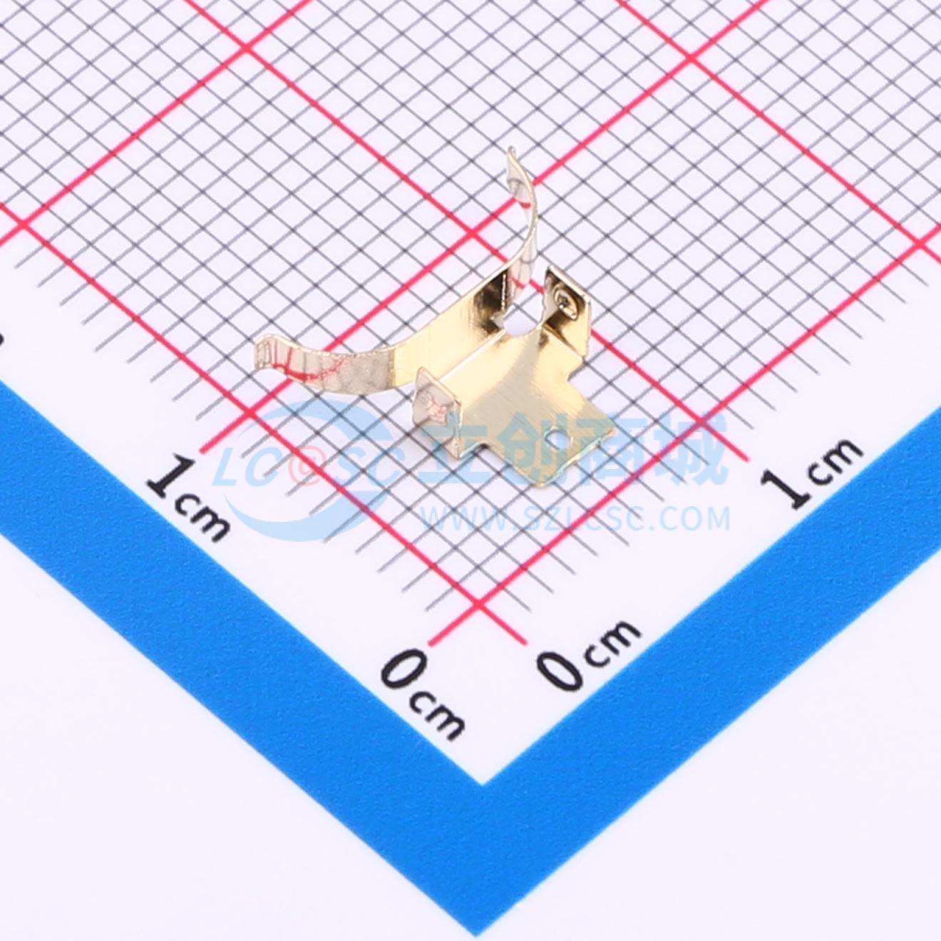 BS-2032-11ZJDZ实物图