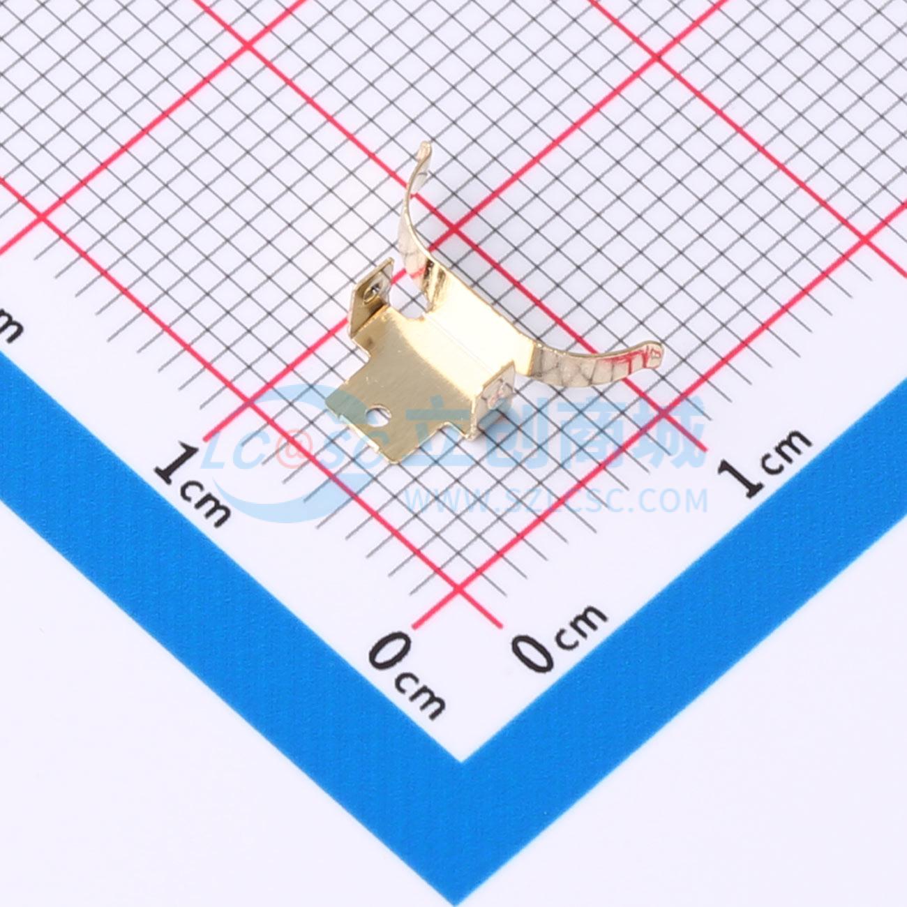 BS-2032-11ZJDZ-R实物图