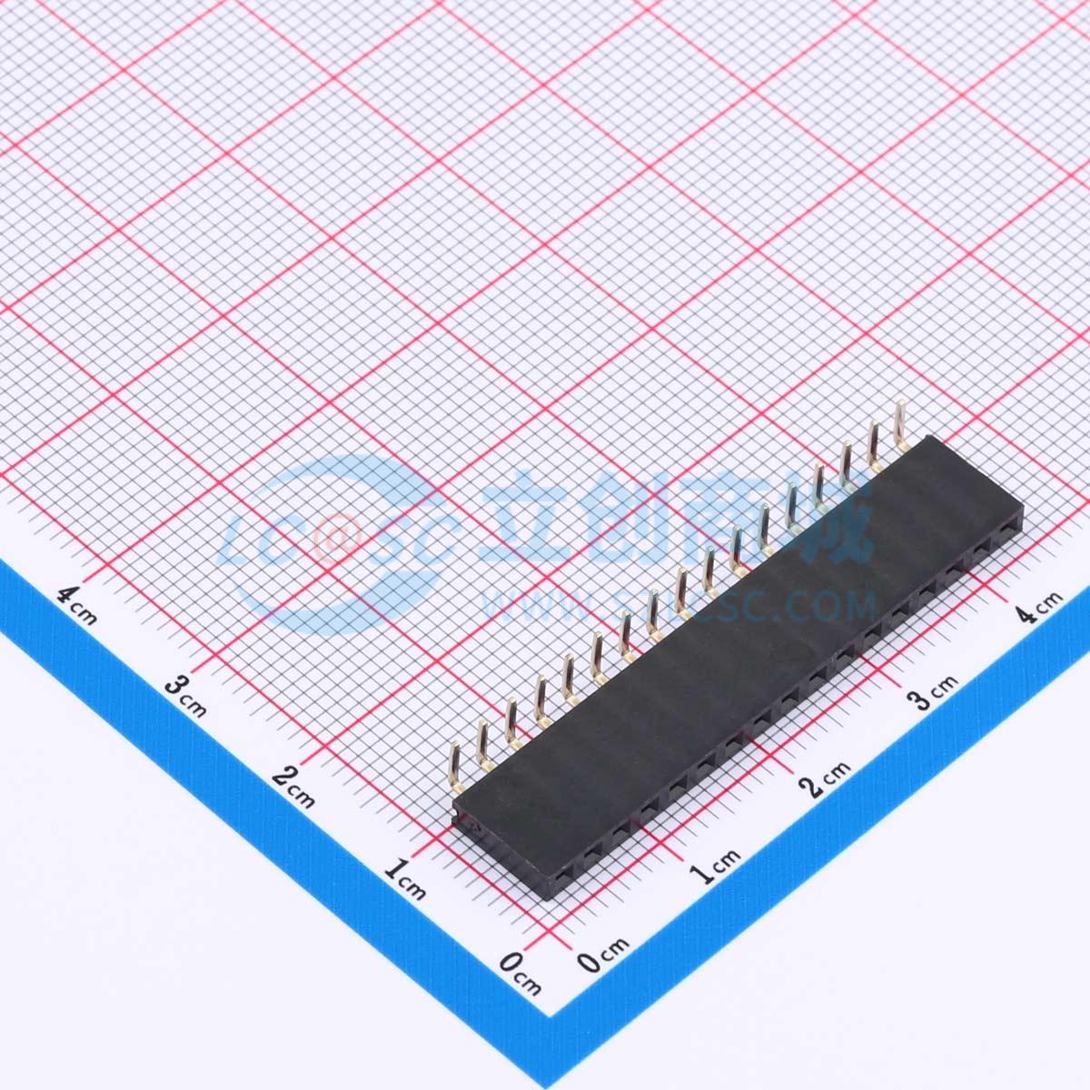 XDM254-1-17-W-8.5-G0实物图