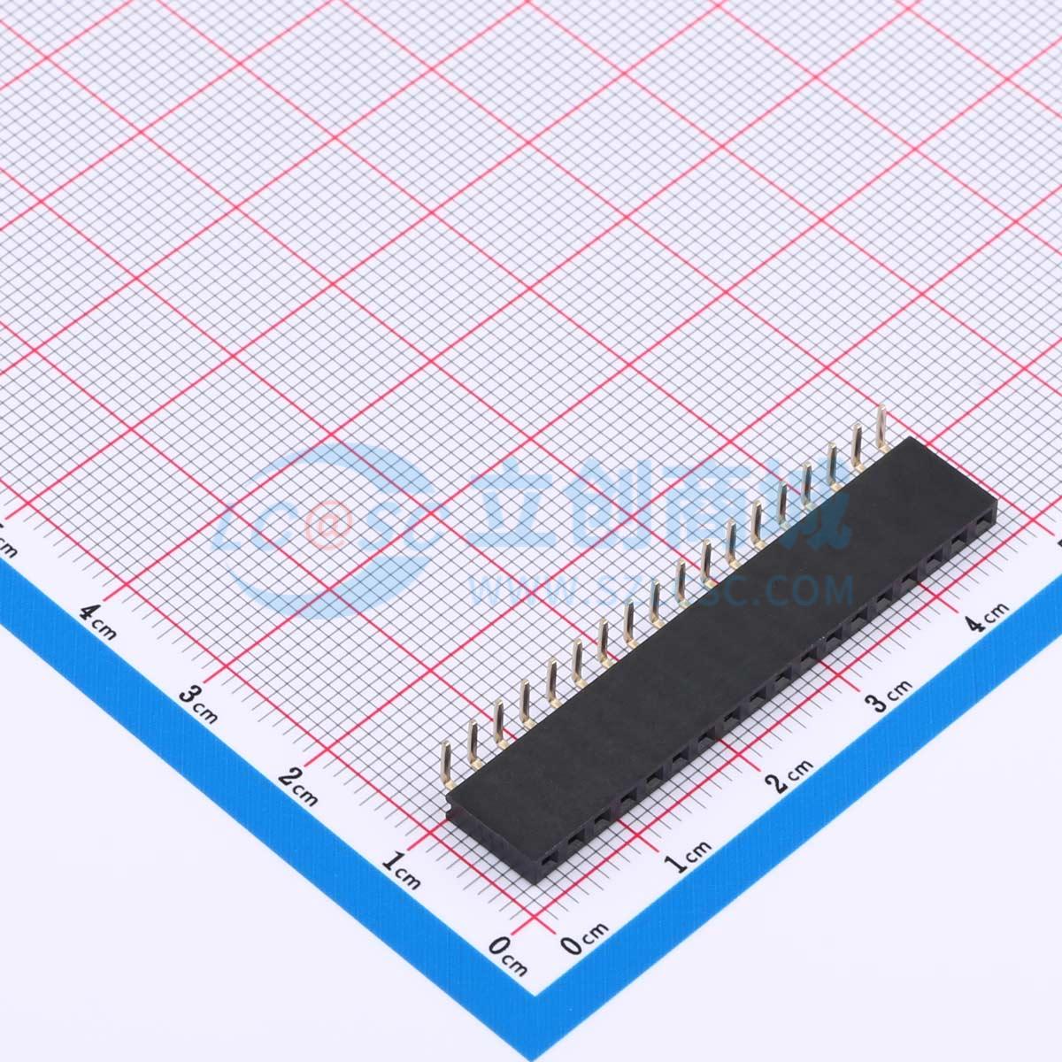 XDM254-1-18-W-8.5-G0实物图
