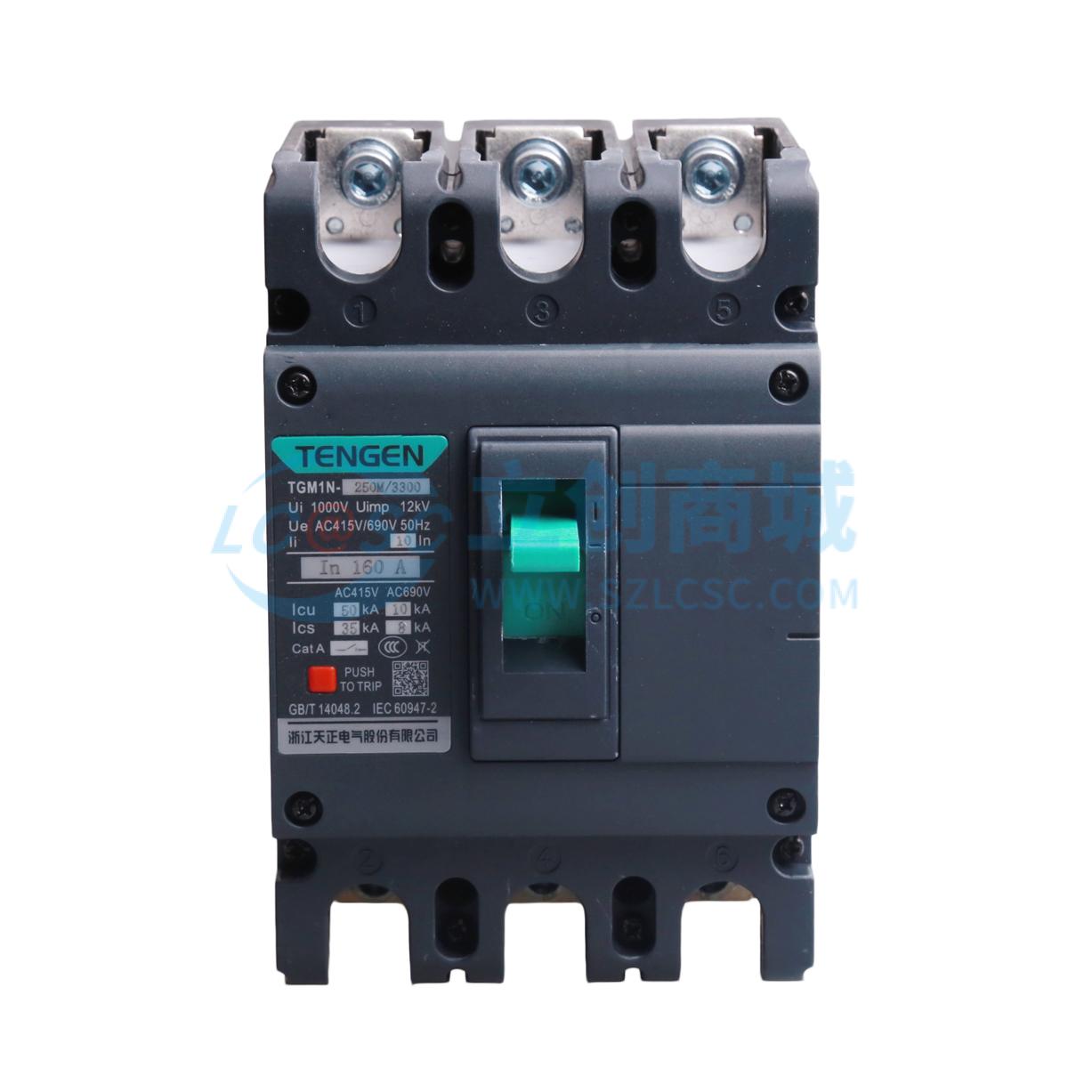 TGM1N-250L/3300 160A实物图